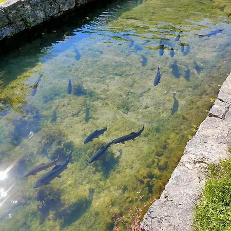 Les Pieds Dans L'eau, La Source Nyaraló *