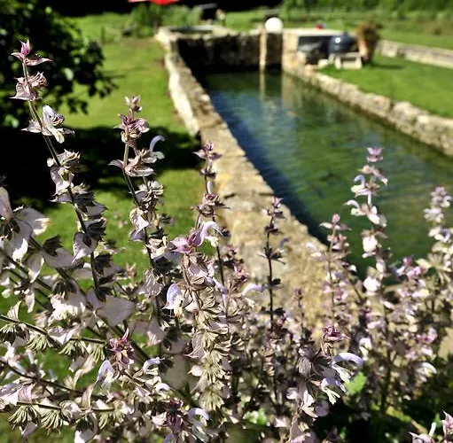 Hébergement de vacances Les Pieds Dans L'eau, La Source *